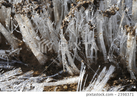 冰襲方陣 冰柱 冬天的早上 2398371