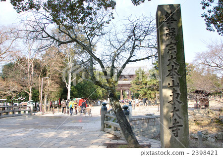 在東大寺旁邊的石碑 2398421