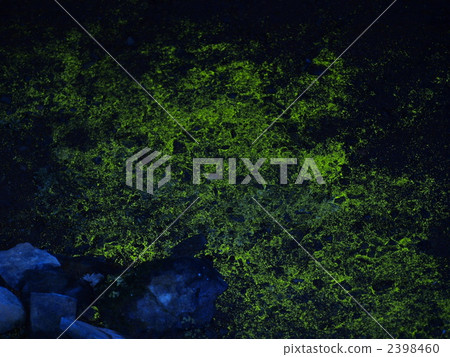 北海道Rausu鎮麥考斯洞穴的Hikarigogake 2398460