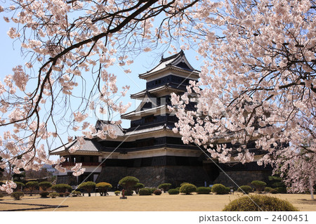 松本城堡在春天 2400451