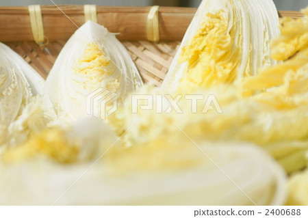 中國的白菜 2400688