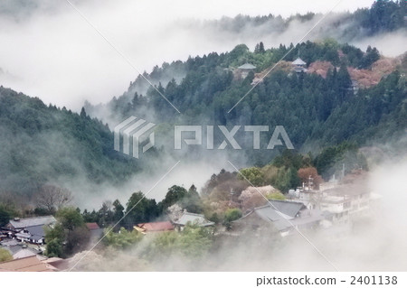 Yuzen Yamano Mountain cherry tree Yuzen Yamano Mountain cherry tree 2401138