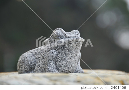 A frog A frog 2401406