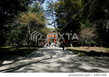 Shimogamo Shrine Shrine Forest 2401508