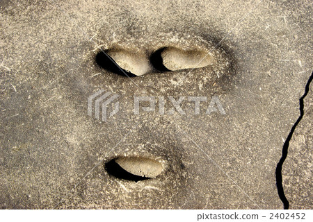 Nichinan coastal rocks 2402452