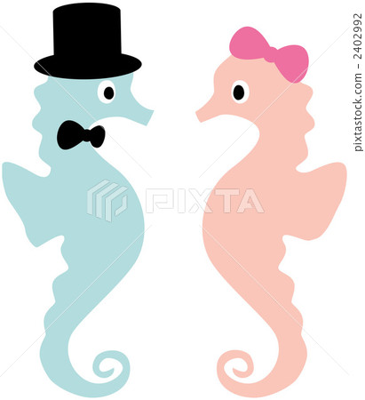 Cute pair of seahorses 2402992