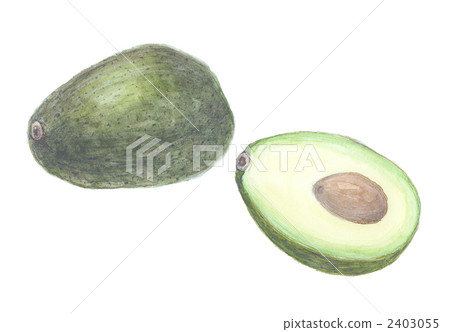 Avocado Avocado 2403055