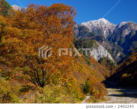 Higashiki of the new snow 2403243