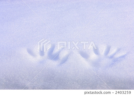 handprint, snow scene, fallen snow 2403259