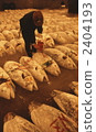 fish market, auction, Marine Product 2404193