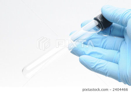 試管 試管 2404466