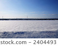 清除雪原 2404493