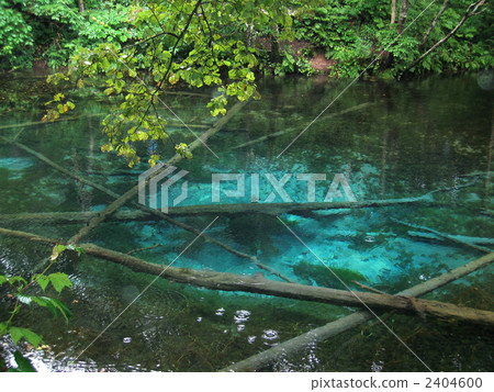 上帝的池塘 2404600