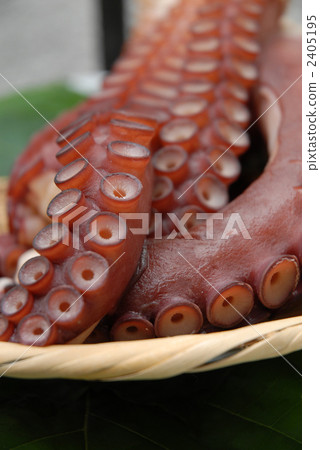 Activated Takoya Soya Activated Takoya Soya 2405195