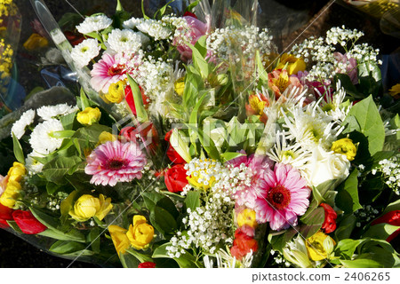 Flower market of Marseille 2406265