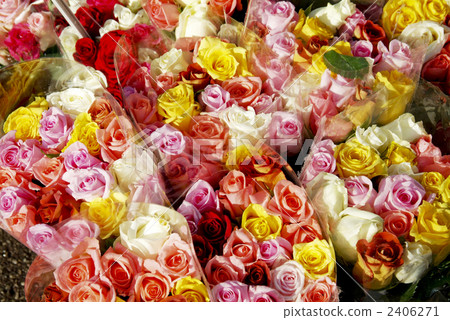 Flower market of Marseille 2406271