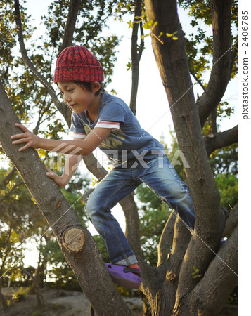 climbing on trees, kid, younger 2406785