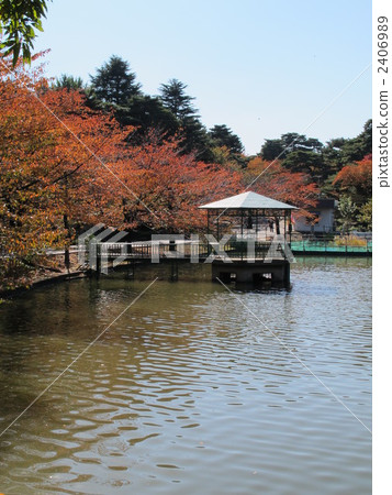 Omiya Park boat pond Omiya Park boat pond 2406989