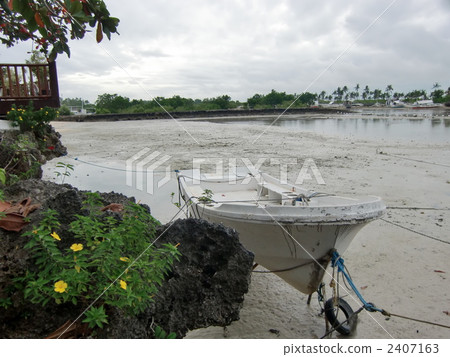 麥克坦的飛行 2407163