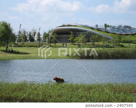 Even if the owner cries, even if the scream comes into the pond, it is a song Golden retriever Even if the owner cries, even if the scream comes into the pond, it is a song Golden retriever 2407593
