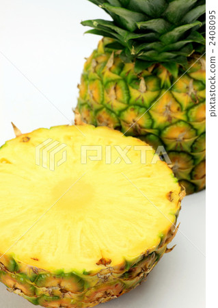 菠蘿 2408095
