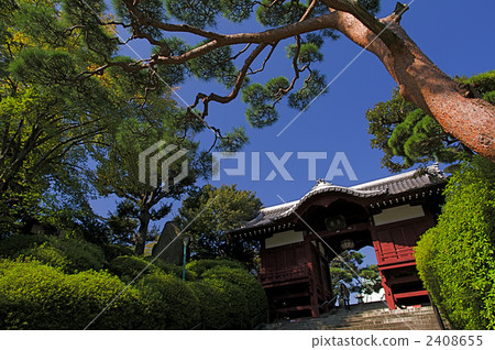 The immortal gate of Gokokuji 2408655