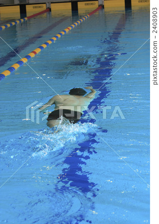 游泳池 2408903