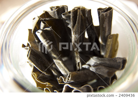 海帶 海帶 2409436