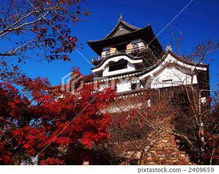 Inuyama castle of autumn leaves 2409659