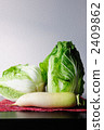 Chinese cabbage and Japanese radish 2409862