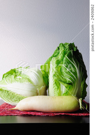 Chinese cabbage and Japanese radish 2409862