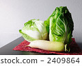 Chinese cabbage and Japanese radish 2409864