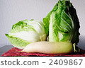 Chinese cabbage and Japanese radish 2409867