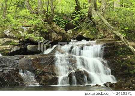 Utsugawa Yotsukura Falls 2410371