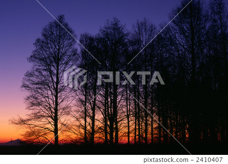 Blue sky Blue sky 2410407