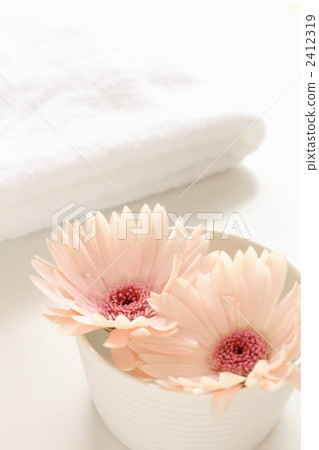 Amenity Amenity 2412319