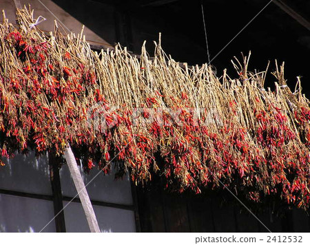 capsicum, cayenne, japanese sliding screen 2412532