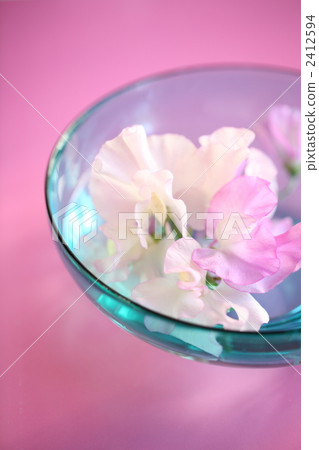 sweet pea, pale, floral arrangement 2412594