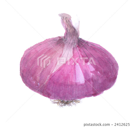 Early red red onions 2412625