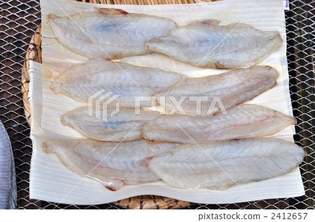 true blowfish, true blowfish dried, true puffer fish dried 2412657