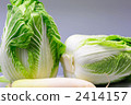 Chinese cabbage fresh vegetables 2414157