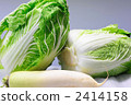 Chinese cabbage and Japanese radish 2414158