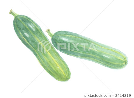 非扁迷你黃瓜 非扁迷你黃瓜 2414219