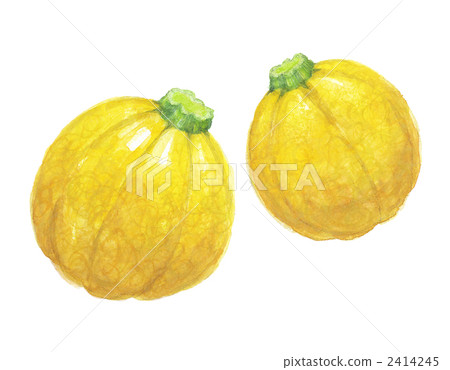 GOLDIE KOKORO ZUCKINI 2414245