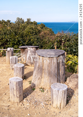 Tree table set outdoors 2414295