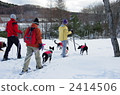 Snowshoe 2414506