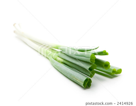 大蔥 2414926