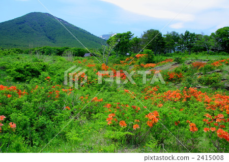 初夏的Hakkoda·Tansei Mire 2415008