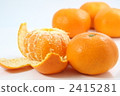 橘子 2415281