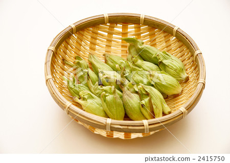 Fukinoenna Fukinoenna 2415750